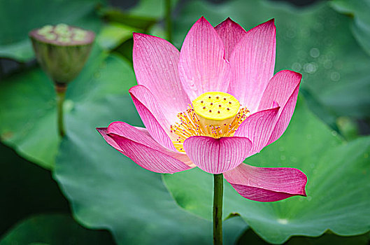 soi cầu 89