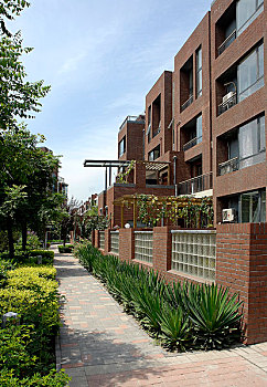 soi cau 4 so