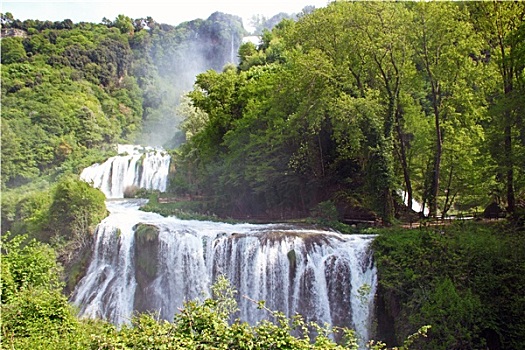 soi cau 88 rong bach kim