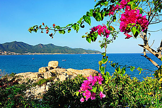 xs quảng bình