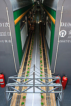 soi cau thu do