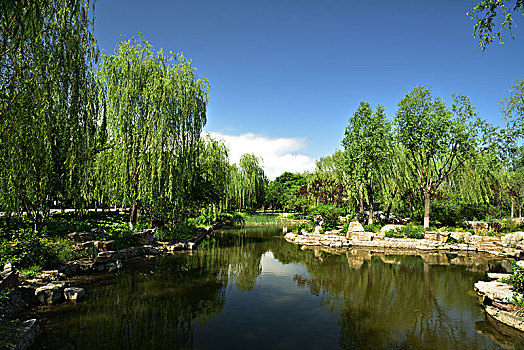 soi cầu mo bi