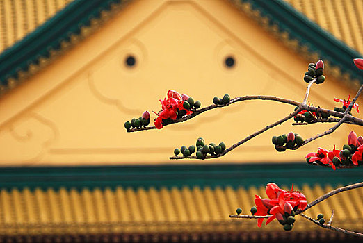 xo so minh ngoc mien bac