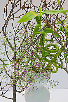 con lô đẹp hôm nay