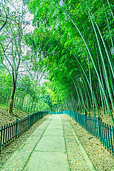 xổ số miền nam chủ nhật tuần rồi
