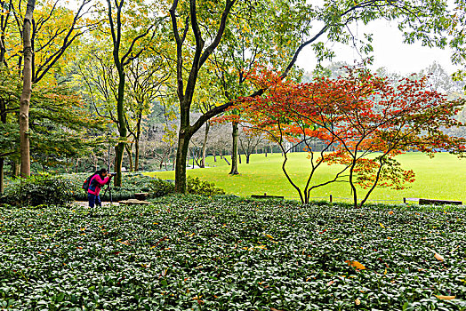 soi cau xs quang nam dac biet