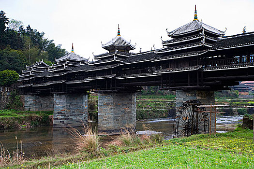 soi cau lo bach thu mien bac hom nay